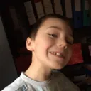 Emoji fenix