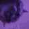 Emoji party_cat