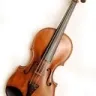 Emoji cdcabenisoitleviolon