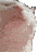 Emoji catheadbop