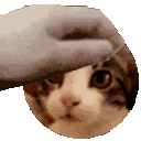 Emoji catpat