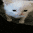 Emoji boume