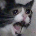 Emoji screm