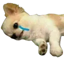 Emoji rpfr_puppycry