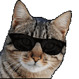Emoji EVs_02Dopeuwu