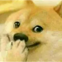 Emoji rc_doge_hehe