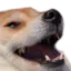 Emoji dogekek