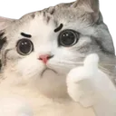 Emoji catthumbsup