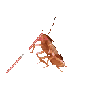 Emoji Odyssee_giphy1unscreen