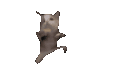 Emoji Odyssee_cat1unscreen