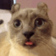 Emoji rpfr_sillycat