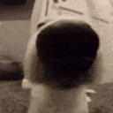 Emoji rpfr_dogsnif
