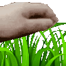 Emoji rpfr_touchgrass