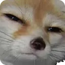 Emoji ie_zdog_hmm