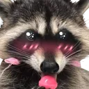 Emoji ie_zcute_raccoon