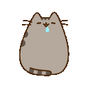 Emoji PusheenDrool