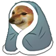 Emoji 2935colddoge