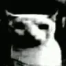 Emoji 8944catdespair