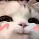Emoji uwublushcat2