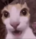 Emoji HEINNN