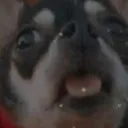 Emoji waf
