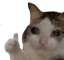 Emoji 8048moutondemoniak