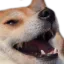 Emoji doge_laugh19