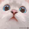 Emoji D_AnimalCatEye2
