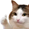 Emoji good