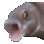 Emoji 6618pogfishanimated