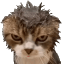 Emoji Wet_Cat_Tongue