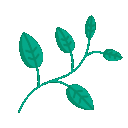 Emoji a_herbs