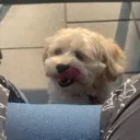 Emoji slurp