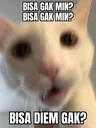 Emoji bisadiamgak