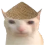 Emoji katt