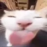 Emoji bluh
