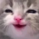 Emoji cathehe