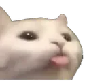 Emoji catfacesilly