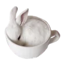 Emoji buncup