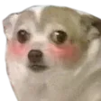 Emoji blushNekoKawaii