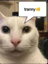 Emoji tranny
