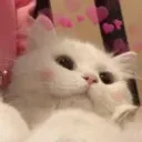 Emoji lazycat