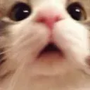 Emoji uhhh