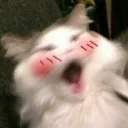 Emoji meouwu