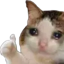 Emoji catgood
