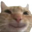 Emoji mhhh