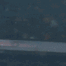 Emoji AU0Fnq8wrTW3TGI