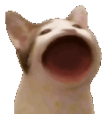 Emoji crazycat