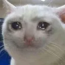 Emoji 2_cry