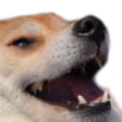 Emoji A_Doggokek